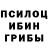 Псилоцибиновые грибы MAGIC MUSHROOMS Eduard Shyts