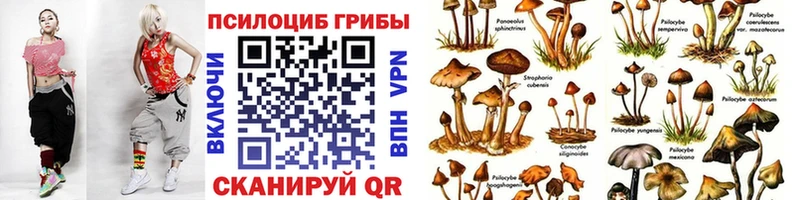 Галлюциногенные грибы Psilocybine cubensis  hydra как зайти  Кировск  купить наркотик 